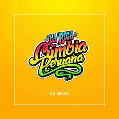 Mix Cumbia Peruana (Armonía 10, Grupo 5, Agua Marina, Chechito)
