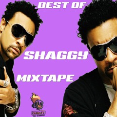 Shaggy Best of Greatest Hits 90s - Early 2000s Mixtape