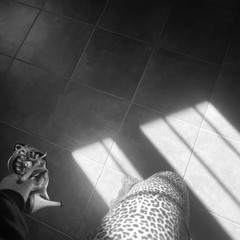 senza base perchè non sono capace 🤡