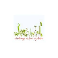 Vintage Echo System - CODE/VERT