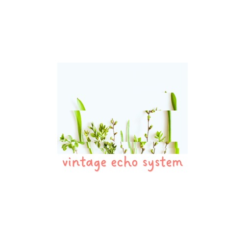Vintage Echo System - CODE/VERT