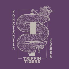 Premiere: Konstantin Kobra - Get Down (Casis Remix)[Trippin Tigers]