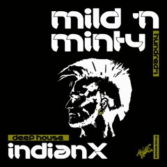 indianX - Mild 'N Minty - 101 (vocal & deep house set)