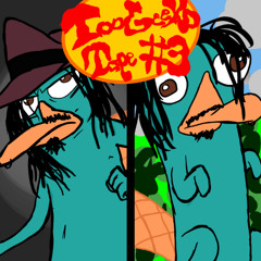 509Bmg - flat stanley