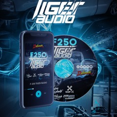 CD F250 TIGER AUDIO DEBOXE DJ DY-X 2021 ( RAP)