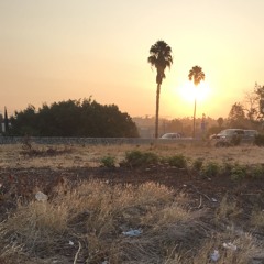 Picture Cards Can't Picture You