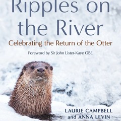 Stream⚡️READ❤️DOWNLOAD$!  Ripples on the River Celebrating the Return of the Otter