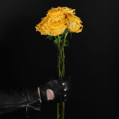 GOON AT HOME (instrumental moan edit)