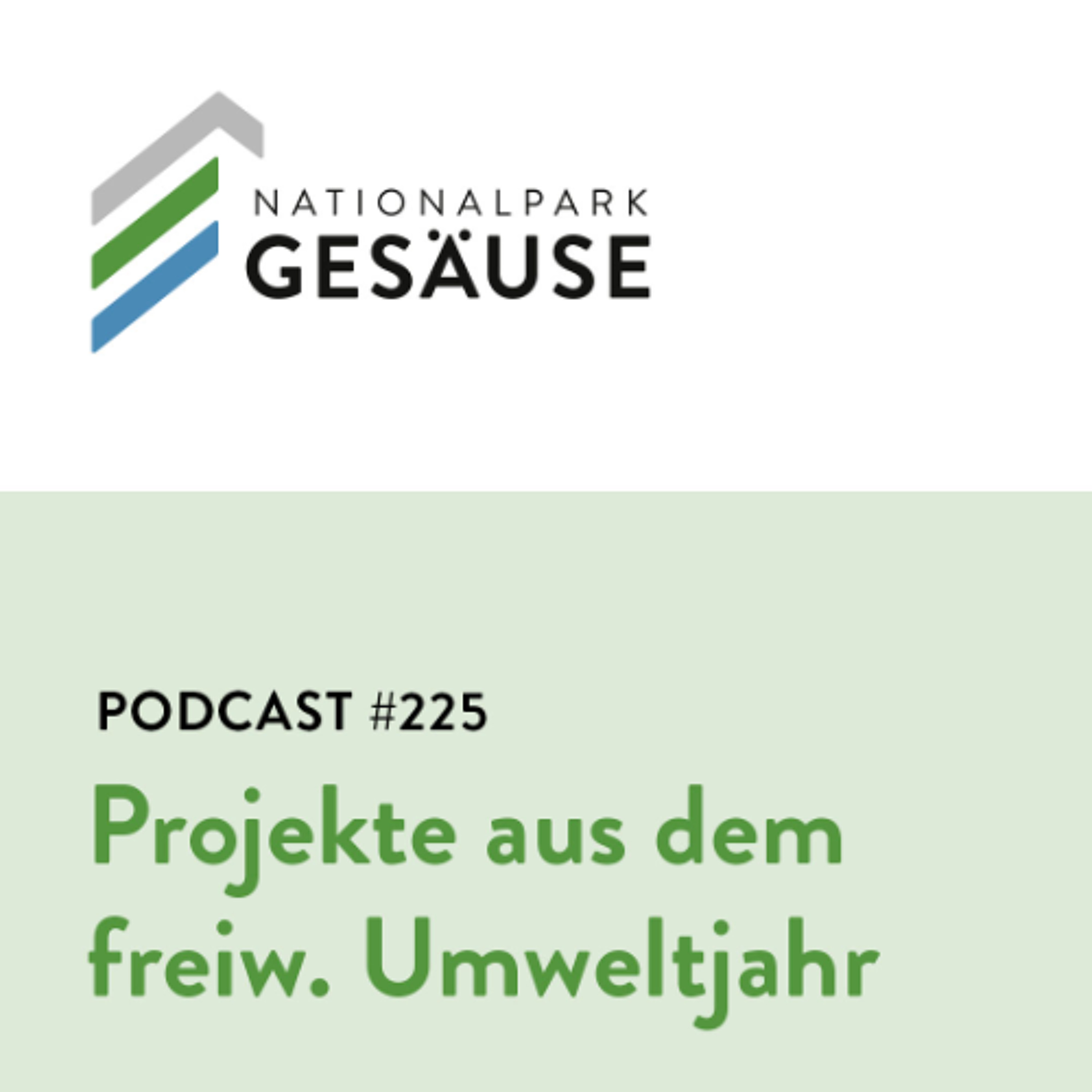 Podcast #225 Projekte aus dem freiwilligen Umweltjahr episode artwork