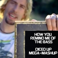 HOW YOU REMIND ME OF THE BASS (DICED UP MEGA - MASHUP)