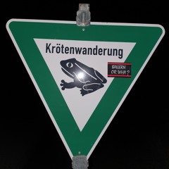 Ballern