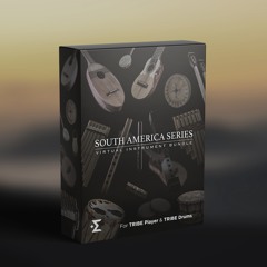 South America Series