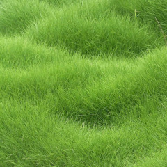 98 DEGREES (p. Munchik & Kesh)  #98radioexclusive