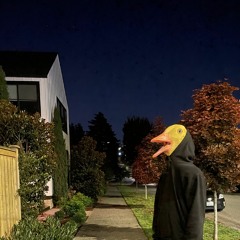 IF IT HAD BEEN A SNEK INSTR.mp3