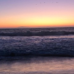 Golden Shore (feat. Timothy Robert Graham)
