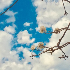 Maher Zain - Huwa Ahmadun