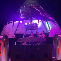 Burning Man 2024 | Camp Alborz | Curious & Curiouser