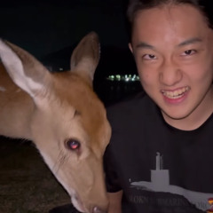 홍원이형이랑 라바뭐시기 흥얼거리기 (LATENCYVALHALLA)