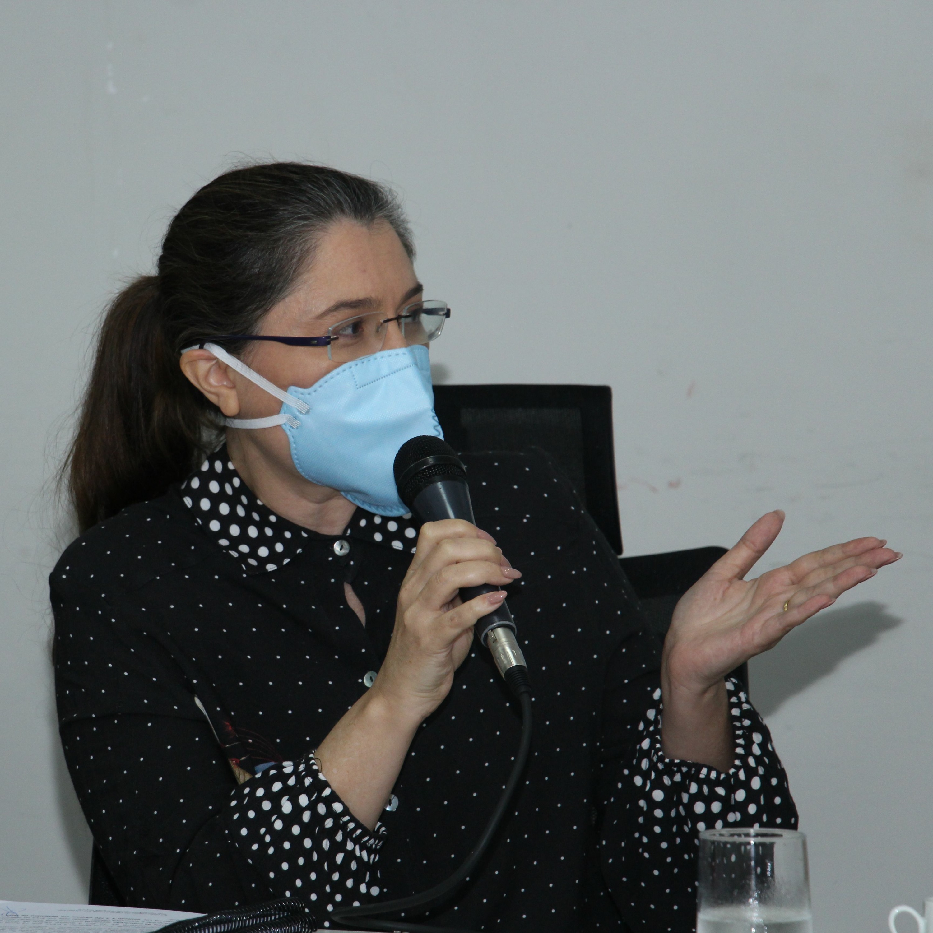 Procuradora fala sobre a participação da sociedade no Conselho Municipal de Segurança Pública episode artwork