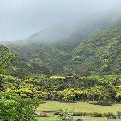 Wind And Rain - Binaural Recording