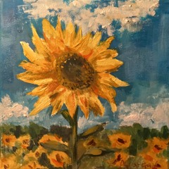 Sunflower skies