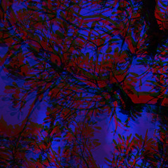 CATHARSIS (instrumental)