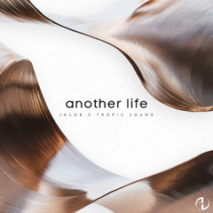 Another Life