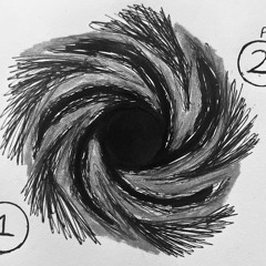 The Whole ME Phase 1