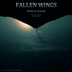 Fallen Wings