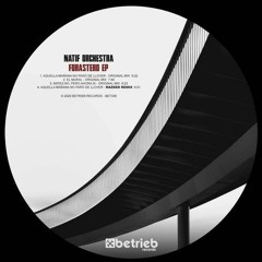 Natif Orchestra - Aquella Mañana No Paró De Llover (Razeed Remix) [Betrieb Records]