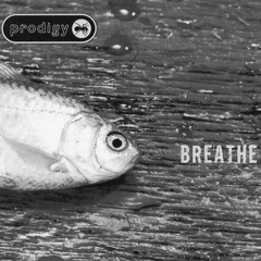 The Prodigy - Breathe (UrBoiN8 Bootleg)