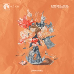 PREMIERE: Damien Almira - Lost In A Bubblegum [WAPMEP042]