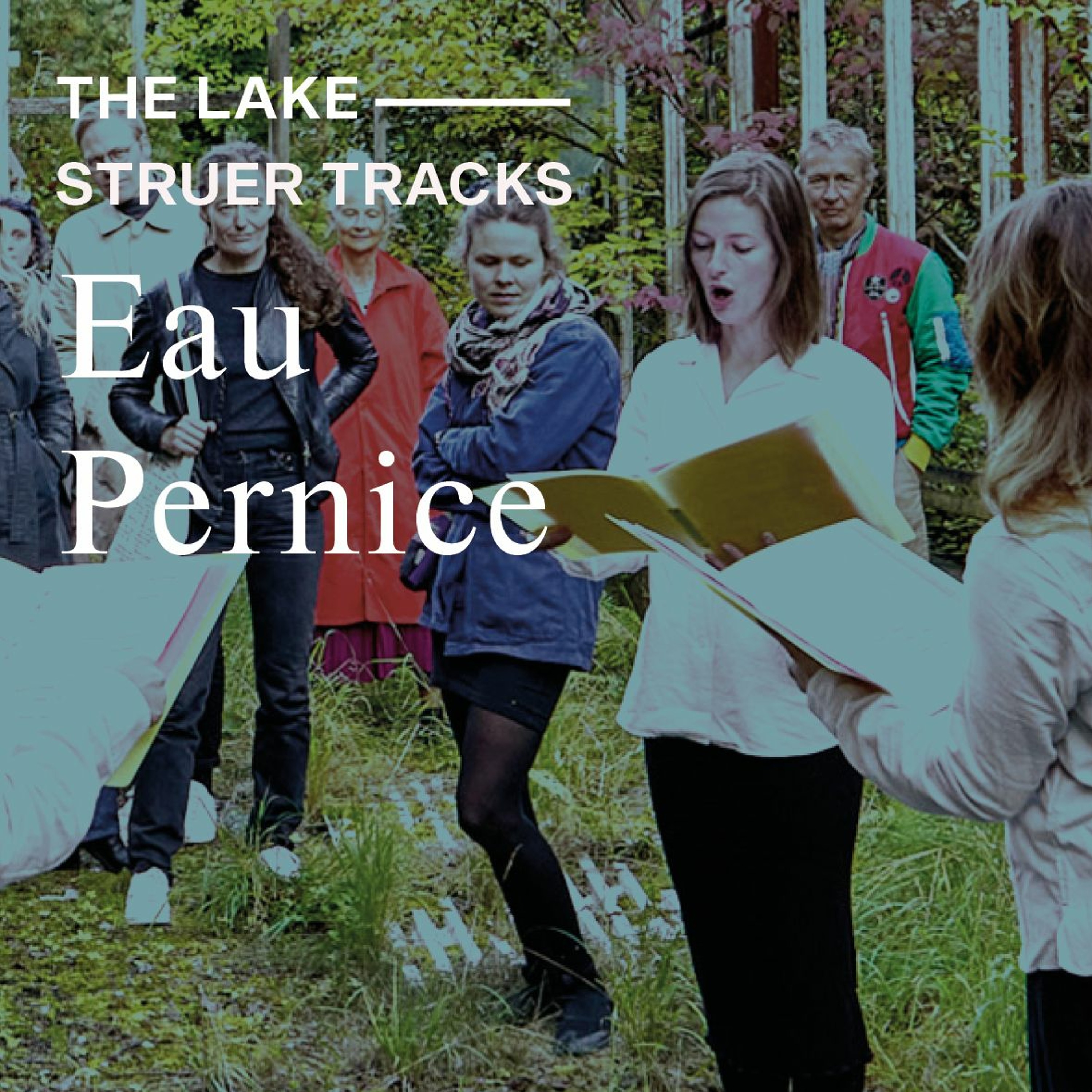 The Lake ⏤ Struer Tracks: Eau Pernice om baglænssang