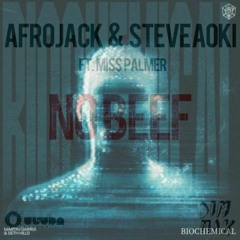 No Biochemicals Beef (NKSH Mashup)