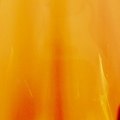 rarities a fucking poid