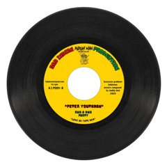 peter youthman - rub a dub party