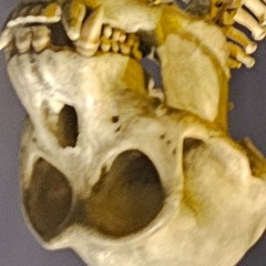 T Connection - Do What You Wanna Do (M@ Remix)