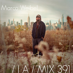 IA MIX 391 Marco Weibel