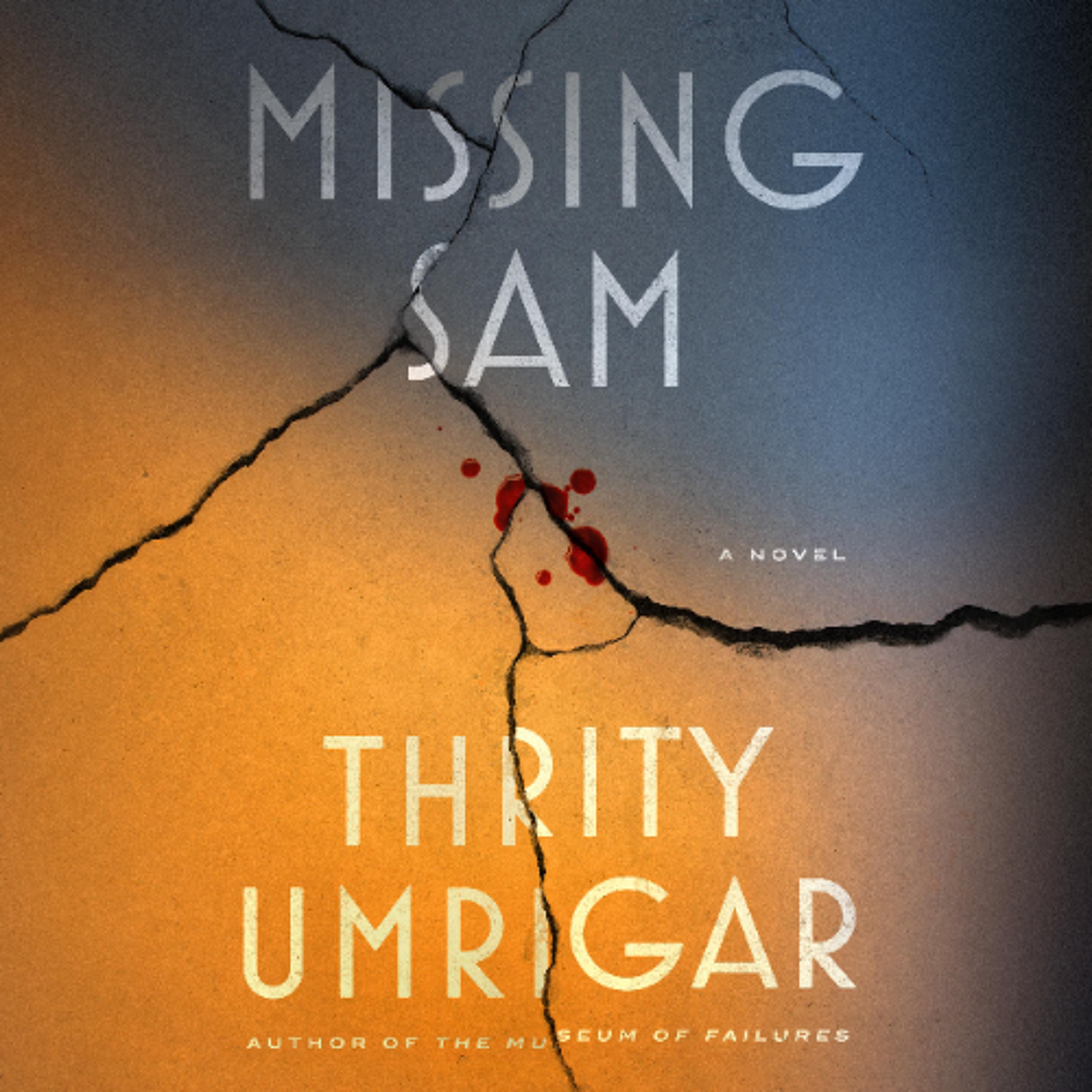 Missing Sam by Thrity Umrigar Read by Reena Dutt episode artwork