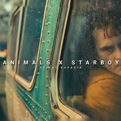 Animals x Starboy