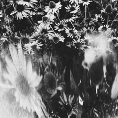 All I Want For Christmas Is You [ft.The Last Dinosaur]