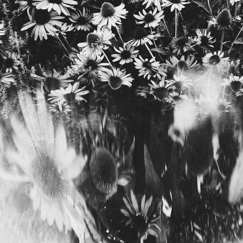 All I Want For Christmas Is You [ft.The Last Dinosaur]