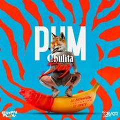CHULITA SEXY ( UNA LOCA EN EL TUBO ) - DJ CRAZY FT BRYANFLOW - TIK TOK - KIKE BOBADILLA