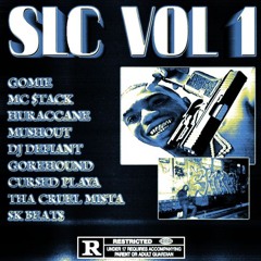 SLC VOL1