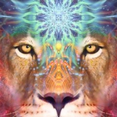 Lion's Gate 888 - Ethnic Fusión - Organic Downtempo - Tribal Folktronica - Dj Alemyst