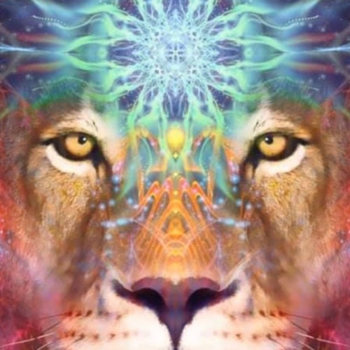 Lion's Gate 888 - Ethnic Fusión - Organic Downtempo - Tribal Folktronica - Dj Alemyst