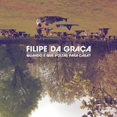 Fittipaldi Das Chaimites