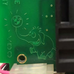 circuit elephant
