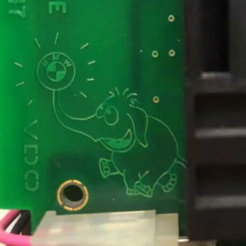 circuit elephant