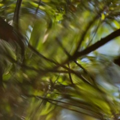 ambexp 11 14 25_vers 11 15 25_for_zatch